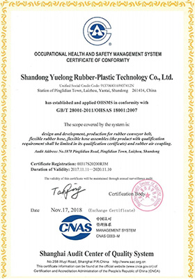 OHSMS18001 Occupational Health and Safety Management System Certificate 